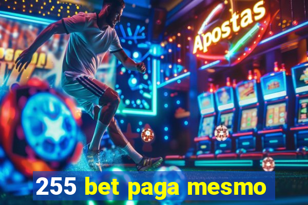 255 bet paga mesmo